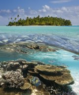 Tropickál lagunan Aitutaki, Cookovy ostrovy (Cookovy ostrovy, Dreamstime)