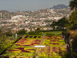 Tropické zahrady v Monte Palace, Funchal, Madeira (Portugalsko, Shutterstock)