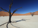 poušť Namib (Namibie, Libor Schwarz)