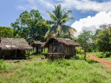Tradiční obydlí (Madagaskar, Shutterstock)