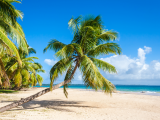 pláž (Madagaskar, Shutterstock)