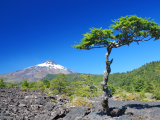 sopka Villarica (Chile, Shutterstock)