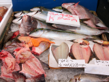 Rybí trh Tsukuji, Tokio (Japonsko, Shutterstock)