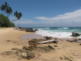 Nádhera (Srí Lanka, Shutterstock)