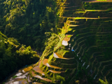 Rýžová pole, Luzon (Filipíny, Shutterstock)