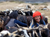 Ženy Ladakhu (Indie, Shutterstock)