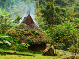 Chýše kmene Kogi (Kolumbie, Shutterstock)