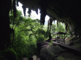 NP a jeskyně Niah (Malajsie, Dreamstime)