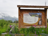 Alaska Wildlife Consevation Center (Aljaška, Dreamstime)