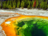 Yellowstone (USA, Shutterstock)