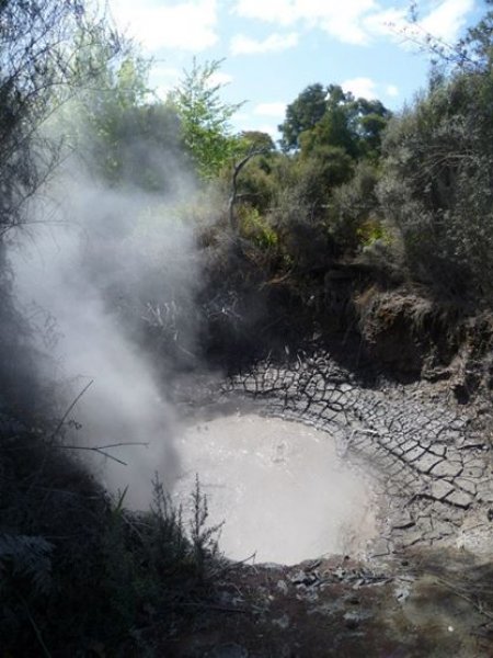 Rotorua  (Nový Zéland, Markéta Doležalová)