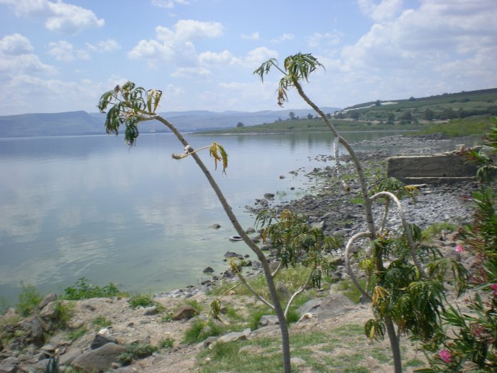 Galilejské jezero (Izrael, Katarina Maruškinová)