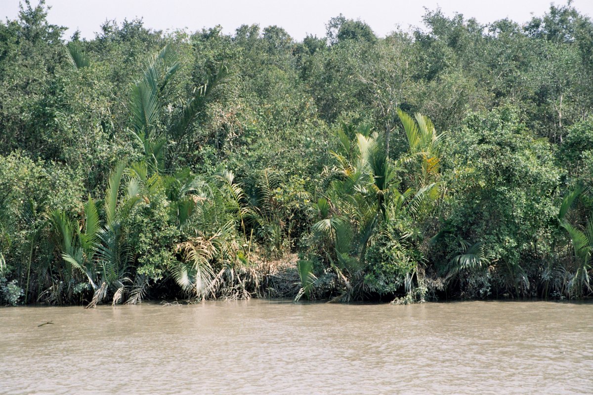 Neviditelní tygři Sundarbanu (1. část)