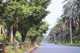 Bahir Dar (Etiopie, Unsplash)