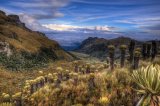 krajina Paramo s klejovky, Nevado del Ruiz (Kolumbie, Shutterstock)