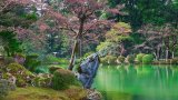 Kenroku-en, Kanazawa (Japonsko, Shutterstock)