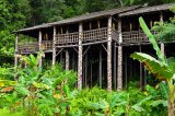 Long house, Borneo, Malajsie (Malajsie, Dreamstime)