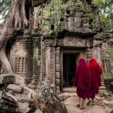 Chrám Ta Prohm, Siem Reap, Kambodža (Kambodža, Dreamstime)
