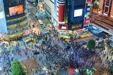 Shibuya, Tokio (Japonsko, Dreamstime)