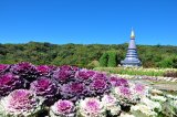 Doi Ithanon (Thajsko, Shutterstock)