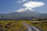 Ararat (Turecko, Shutterstock)