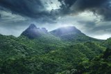 El Yunque (Portoriko, Dreamstime)