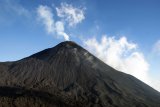 Vulkán Pacaya (Guatemala, Dreamstime)