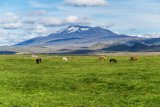 Hekla (Island, Dreamstime)