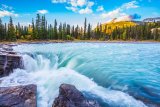 Vodopád Athabasca (Kanada, Dreamstime)