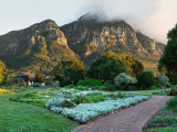 Botanická zahrada Kirstenbosch (Jihoafrická republika, Pixabay.com)