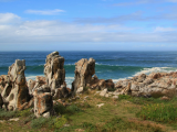 Hermanus (Jihoafrická republika, Pixabay.com)