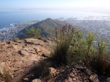 Výhled ze Signal Hill na Kapské město (Jihoafrická republika, Pixabay.com)