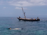 Šnorchlování u ostrova Tumbatu (Zanzibar, Slávek Suldovský)
