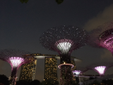 Gardens by the Bay, Singapur (Singapur,  Mgr. Marek Neubauer, MBA)