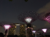 Gardens by the Bay, Singapur (Singapur, Mgr. Marek Neubauer, MBA)