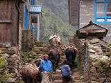 Cesta k vrcholu (Nepál, Shutterstock)