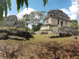 Yaxchilán (Mexiko, Mgr. Sylva Vltavská)