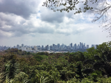 Panama (Panama, Barbora Pačesová)