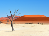 Vyschlá pánev Dead Vlei (Namibie, Dreamstime)