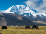 Xinjiang (Čína,  Dreamstime)