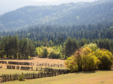 přírodní scenérie, Goderzi (Arménie, Dreamstime)