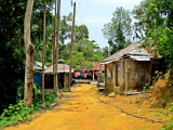 vesnice, Srimangal (Bangladéš, Dreamstime)