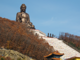 Buddha, čísnký chrám dynastie Jing (Čína,  Dreamstime)