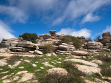 kamenné formace, El Torcal (Španělsko, Dreamstime)