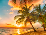 Barbados (Barbados, Dreamstime)