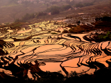 rýžová pole, Yuanyang 2 (Čína, Dreamstime)