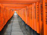 Fushimi Inari (Japonsko, Shutterstock)