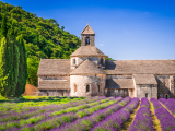 Opatství Senanque, Provence (Francie,  Dreamstime)