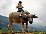 Sapa (Vietnam, Shutterstock)