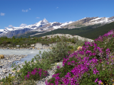 park Mount Robson (Kanada, Dreamstime)